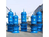 Pitshaft Axial- flow Pump