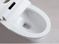 Sanitary Ware wholesale