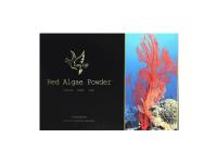 MUST-KNOW HEALTH FOOD FOR MIDDLE-AGED PEOPLE	