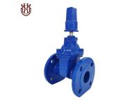 How to Install the Check Valve?