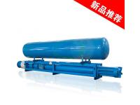 Buoy submersible pump