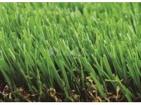 Artificial Grass Yarn Site Renovation Considerations