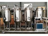 Mini Fermenter for Micro Brewery Systems