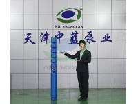 Hot water submersible pump