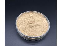 ProBC-123®(Bacillus Coagulans)