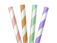 Hot sell Biodegradable paper straws
