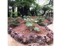 Red Lava Landscape Stone