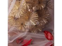 What is the Layout of the Window?