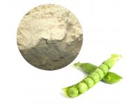 pea-protein