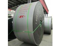 How Does The Acid And Alkali Conveyor Belt Industry Rise Rapidly?