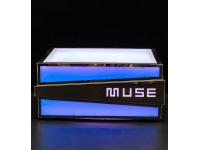 Stainless Steel Double Wall Ice Bucket for 6 Champagne Bottles  6 Bottles LED Ice Bucket wholesale