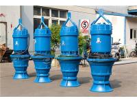 Maintenance and Repair of Axial Flow Pump