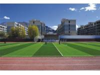 Can Essential Artificial Grass protect the safety of athletes?