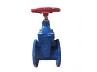 ​Cast Iron Gate Valve