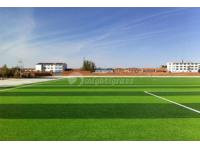 Artificial Grass for Football Field