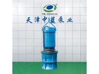 The Starting Steps and Precautions of Axial Flow Pump