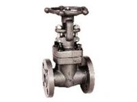 Forged Steel Gate Valve