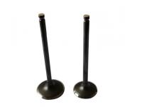 Why Replace the Spark Plug?