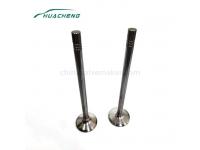 Differences, Advantages and Disadvantages of Diesel Engines and Gasoline Engines