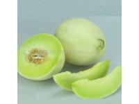 Hybrid F1 honeydew melon seeds for planting