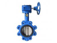 Hot Sale PN10 / PN16 Lug Type Butterfly Valve