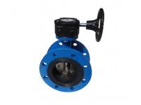 Wholesale 4 inch DN2501 concentric DI flanged butterfly valve