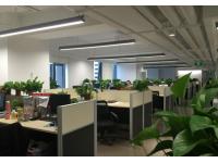 Acrylic Light Diffuser Sheet