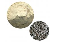 sunflower-seeds-protein