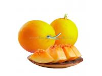 Hybrid golden musk melon seeds