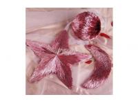 Do you know the Steps of Christmas Interior Decoration?