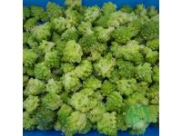 Frozen romanesco