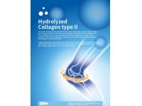 Hydrolyzed Collagen Type II