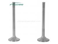 Truck spare parts engine valve for STEYR WD615.68