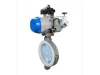 BN1101F Plastic Lined Butterfly Valve