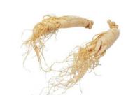 Application of Ginseng Extract in Cosmetics (Part 2)