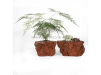 Lava Stone Flowerpot Pumice Planter