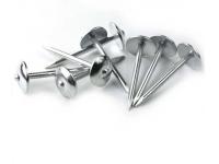 Umbrella Roofing Nails   stainless steel roofing nails  Concrete Nail distributor   wholesale Common Nails