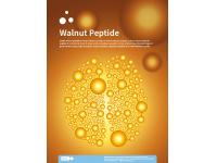 High Quality walnut peptide made of walnut protein