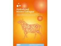 SEMNL Hydrolyzed Bovine Collagen