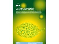 Jackfruit Peptide Anti aging facial 
