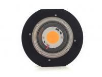 Cree 100w 200w Cob Led Grow Lights With Cree Cxb 3590 Chips And Meanwell Driver