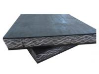 What Problems should Conveyor Belts Pay Attention to when Working?