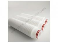 What is the Maintenance Method of the Filter Element in the Water Purifier?