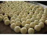 Pig Pacifiers Chewable Items for Swine  PU Chewable Items for Swine