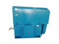 High Voltage Squirrel Cage Induction Motor