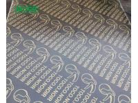 Finger Joint Plywood