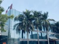 Building Curtain Wall, Toughened Glass Manufacturers