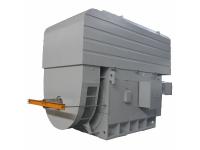 High Voltage Slip Ring Induction Motor