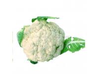 Asian vegetable seeds cauliflower hybrid seed