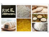 Artificial Rice Processing Machines/Production Line